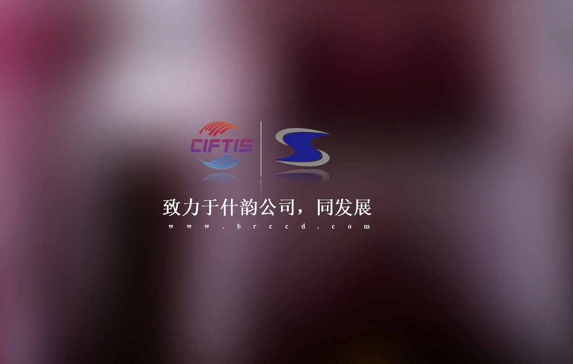 幻灯片39.GIF